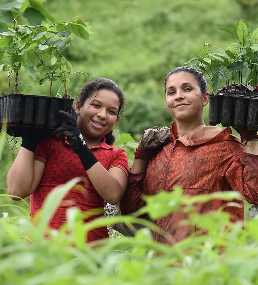 Panama Lumber Export