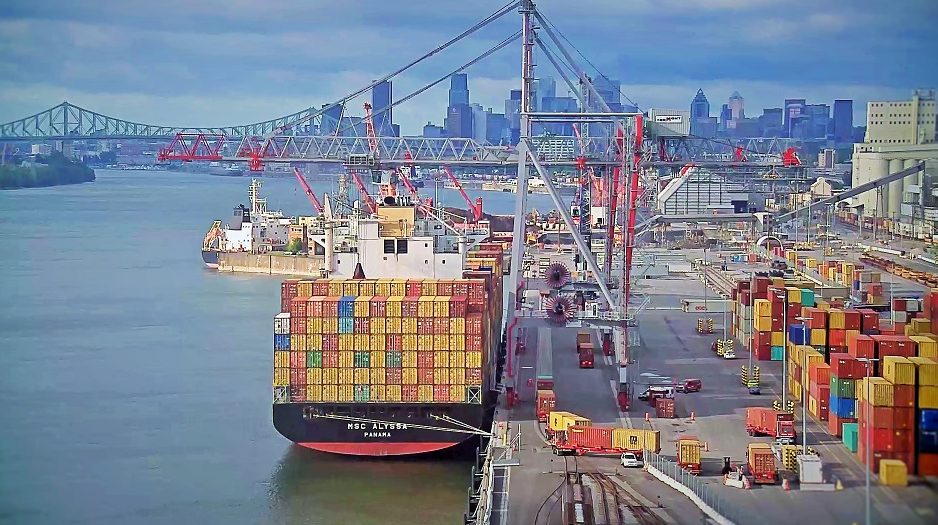 Panama Lumber Export