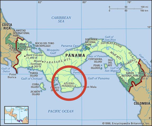 Panama Lumber Export